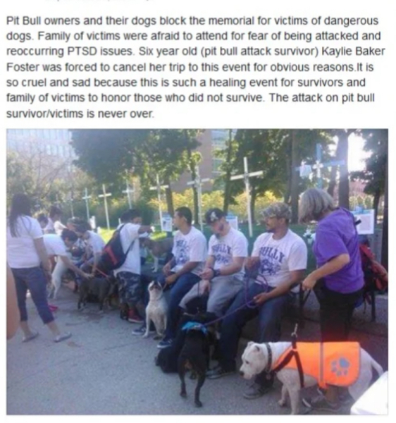 XL Bully attack | 8 year old boy seriously injured