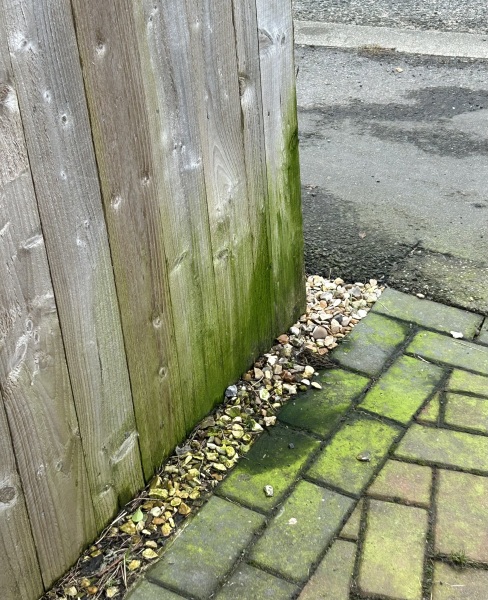 Dog wee ruining fences