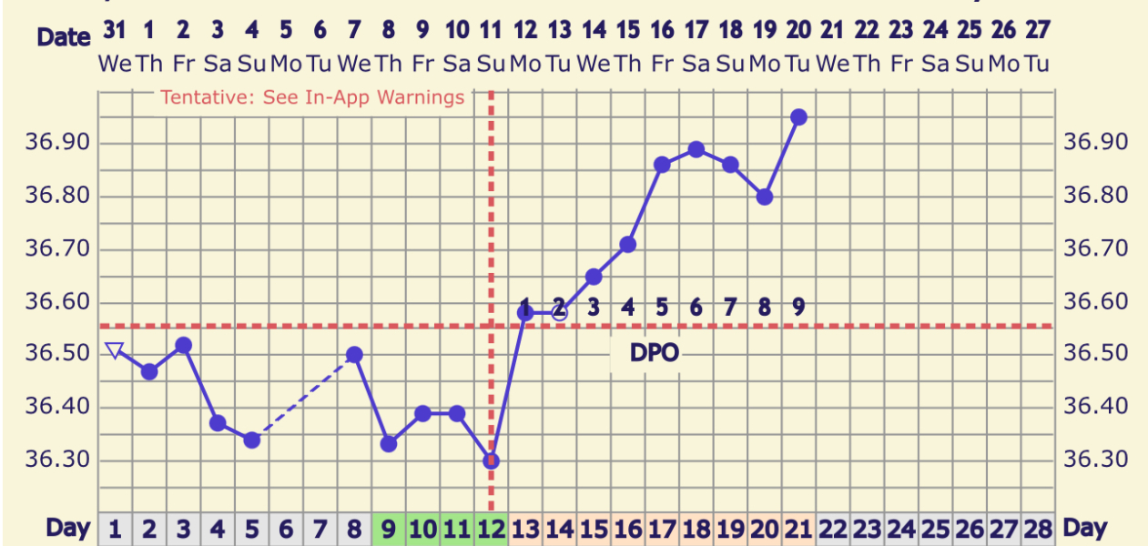 BFP - What did your BBT chart look like that cycle?