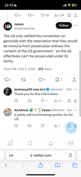 ICJ: SA Genocide Case vs. ISR - part 2