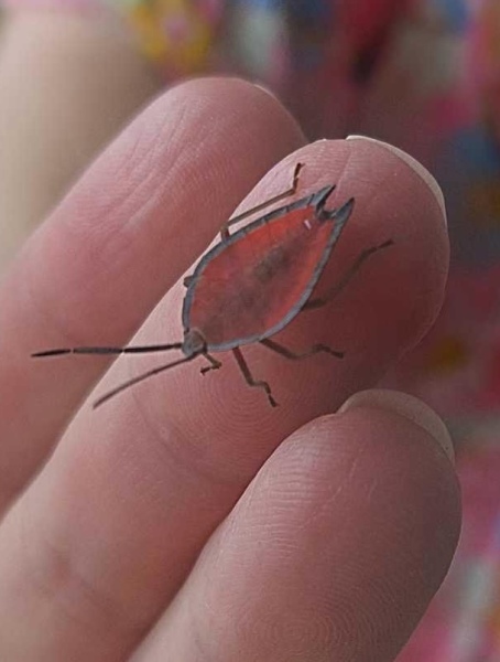 Identify this bug?