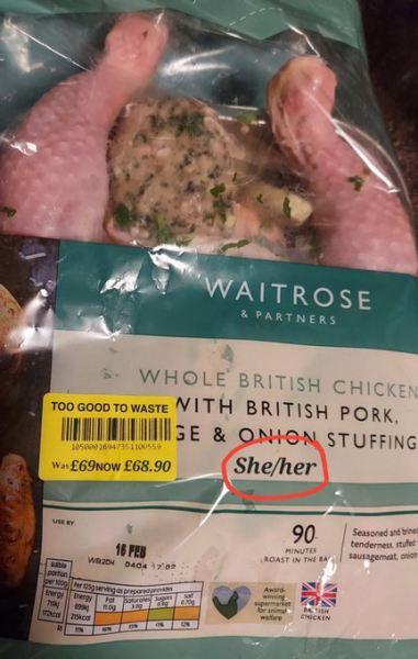 Boycott JL and Waitrose? : James Esses' latest Substack on John Lewis LGBTQIA++ 'Identity' mag