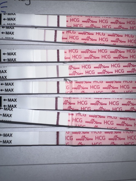 Monitored cycle / HCG trigger / timed intercourse