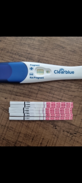 Wonfo progression lines
