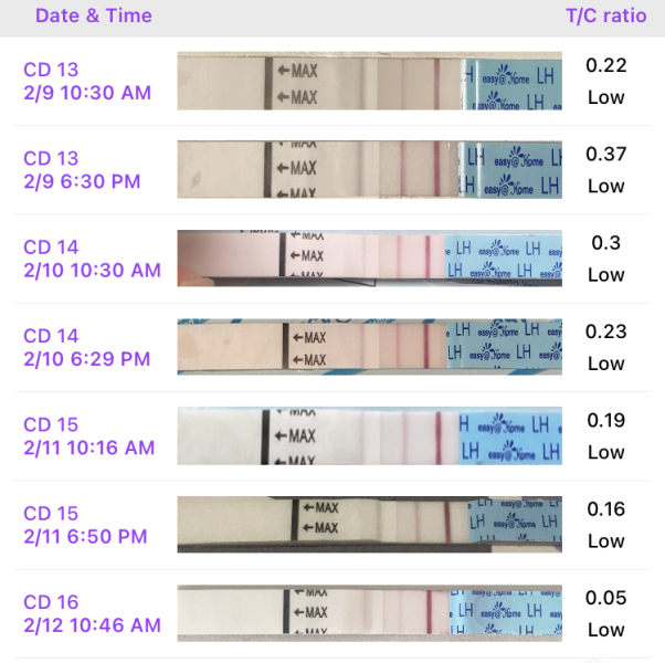 Is this an ovulation peak? Levels marked as low but looks darker to me