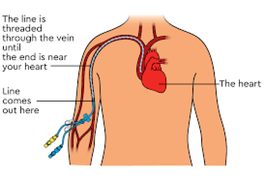 Thread 12 - TalkLair: “I say we take off and nuke the entire site from orbit. It's the only way to be sure.”