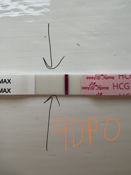 8dpo