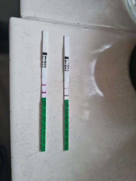 OCTOBER 2024 BABIES!