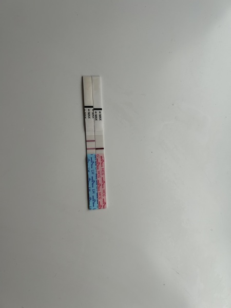 Positive ovulation and faint positive pregnancy test