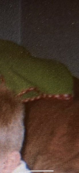 Pro-googlers, please help me find this Mothercare bedding from 2003 (no photos)