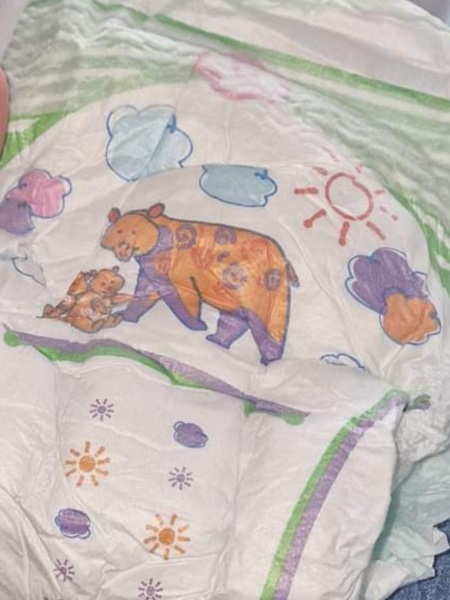 6 year old toilet training 