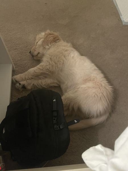 The happy Place Café is still open - 2024