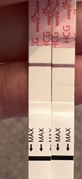 TWW... starting now!