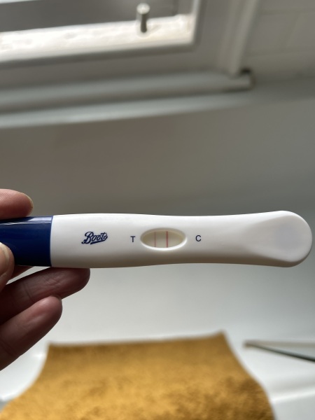 TTC February 2024 ✨