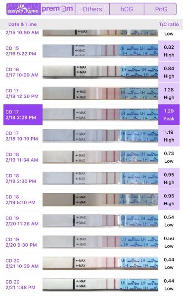 TWW... starting now!