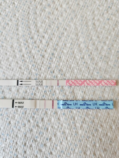 TTC after early miscarriage part 2