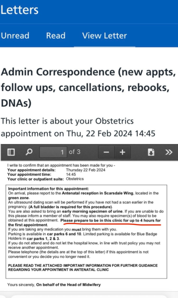 Due September 2024 - Part 4! 🤰🏻💙🩷