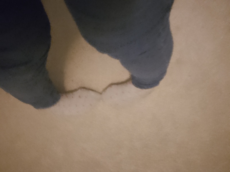 Help settle an argument re: who is bendy/ non-bendy