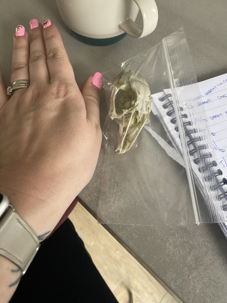 Frugal Friends Facing Forward with Fortitude