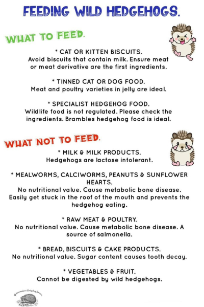 Come and tell me your dull and unexciting news 29: Calmly through the day