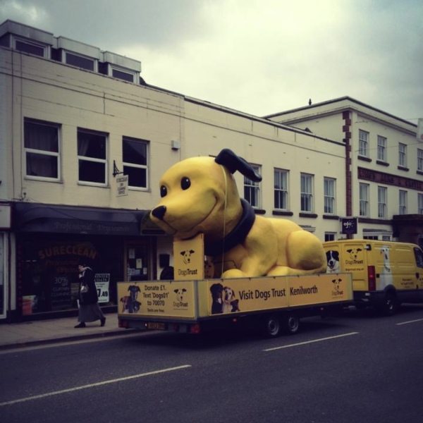 Have you ever seen anything weird being transported?