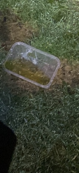 Tips on collecting urine sample from small female dog, please