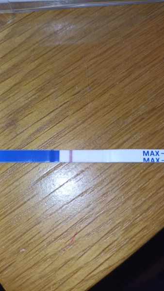 Can you see this line - bfp or evap?
