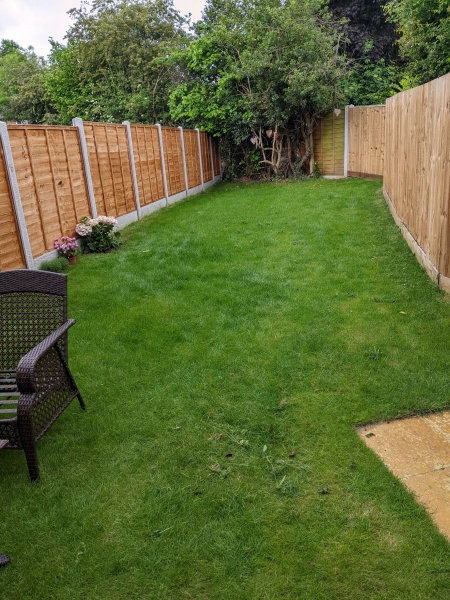 Shed location dilemma