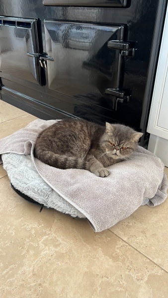 How much does your BSH weigh?