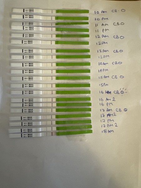 CB positive ovulation but negative dip test. Help!