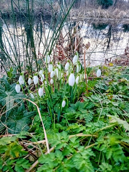 Any Witches Here?- Part 19