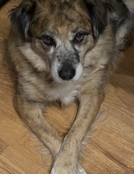 Happy National Love Your Pet Day!
