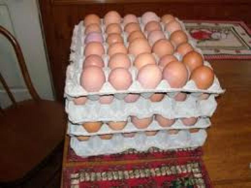 5 stone 26 weeks - Anyhow that works for you