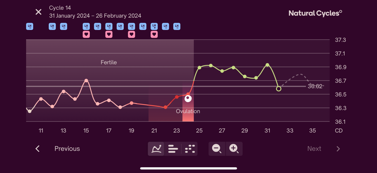 BBT dip and then gone on to have a BFP?
