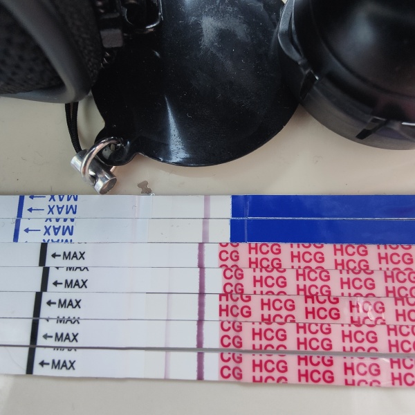 12/13dpo faint line