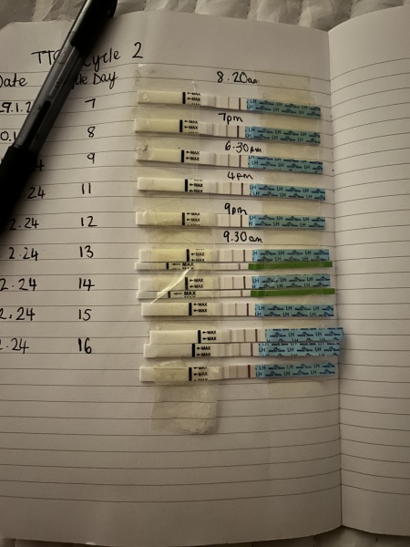 TTC February 2024 ✨