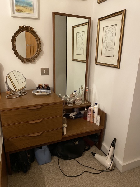 Does anyone have a vanity area? If so, pic please?