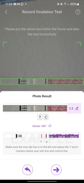 TTC February 2024 ✨