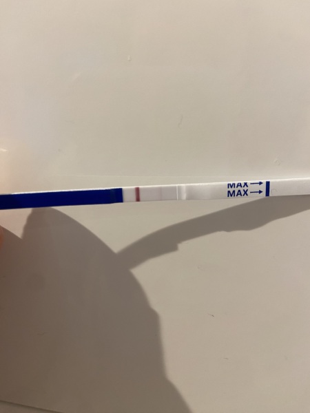 Pregnancy Tests Faint Line