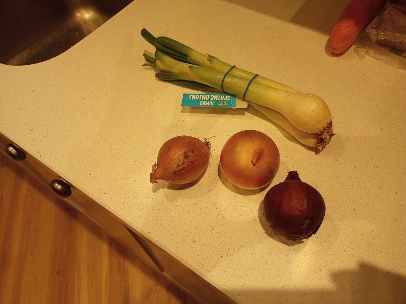 Urgent! Quick question about onions (photo attached)