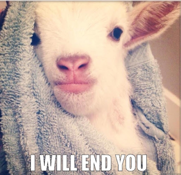 The happy Place Café is still open - 2024