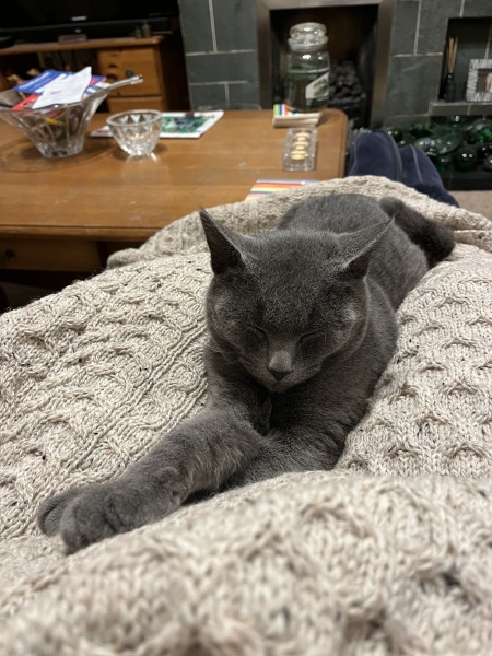 Tales and Tails and NMCs  -  the Excellent Cats March On