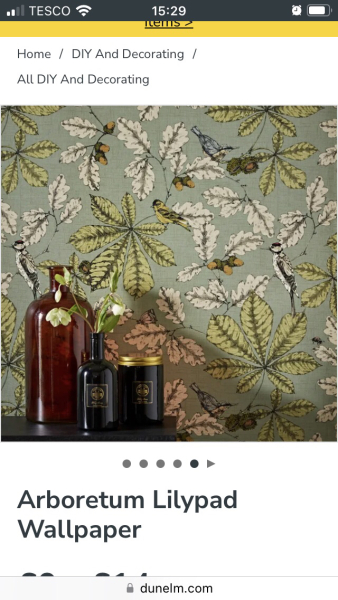 Olive sofa - paint colour?