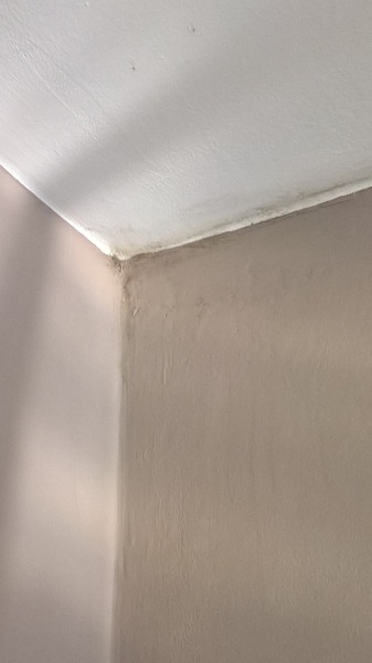Mould on clothes and wooden furniture