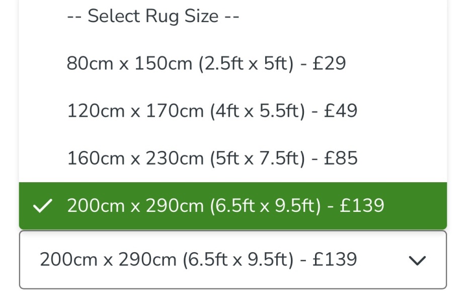Rug size help