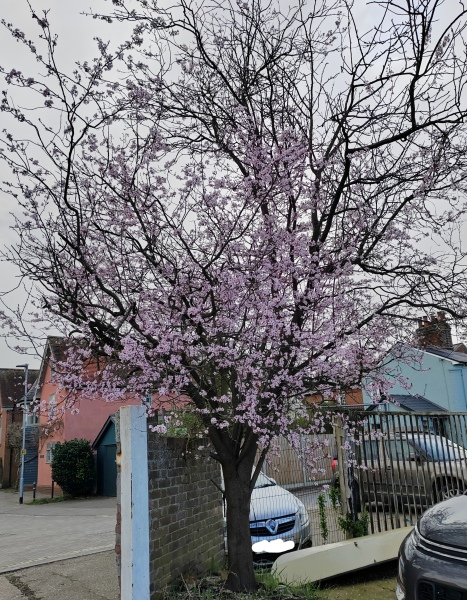 Any Witches here? Part 20