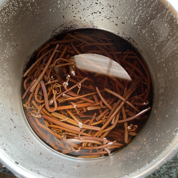 MsLatté’s Daebak Cybercafé (Kdrama addicts #45): Where we are *still* waiting on Lee Min Ho’s astronaut OBGYN to arrive and ponder whether 2024 will be kdrama’s breakout year