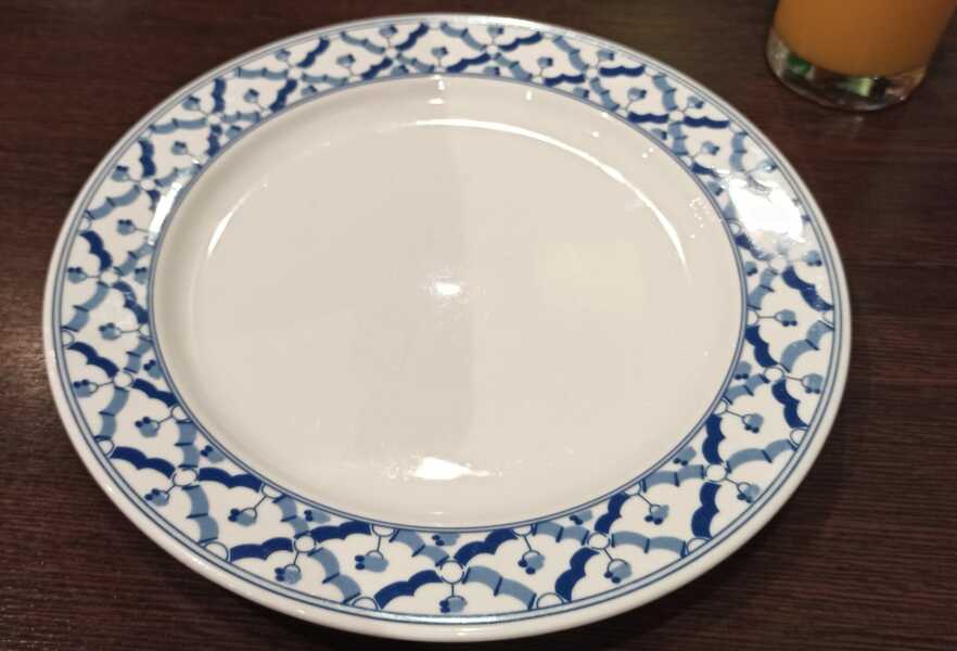 The Only True Dinner Plates Are White
