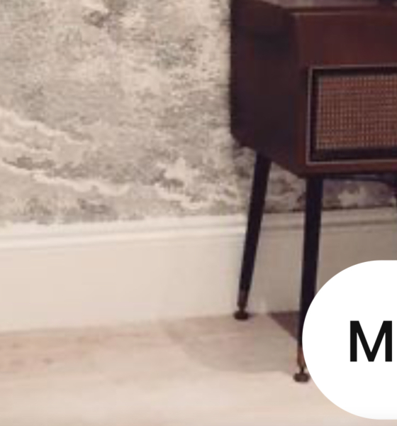 Which carpet would you choose?