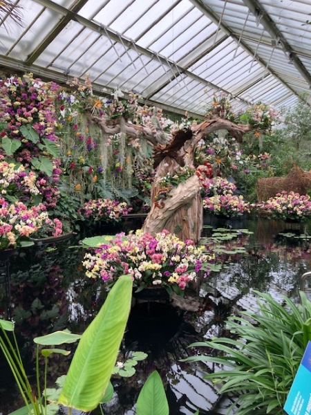 The Great Recovery! After cancer what next?